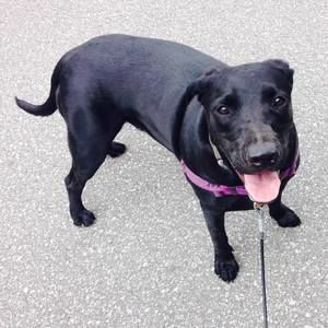 Meet your Posher, Mel